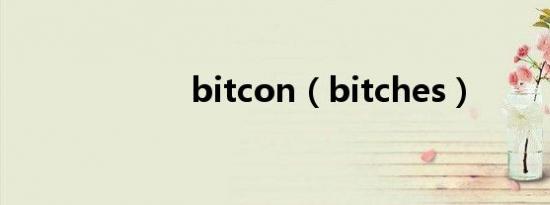 bitcon（bitches）