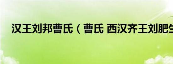 汉王刘邦曹氏（曹氏 西汉齐王刘肥生母）