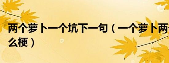 两个萝卜一个坑下一句（一个萝卜两个坑是什么梗）