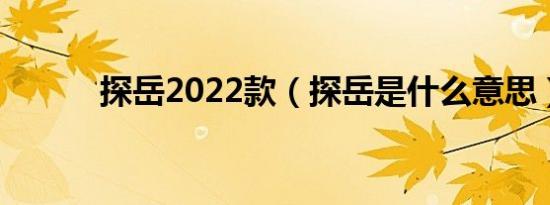 探岳2022款（探岳是什么意思）