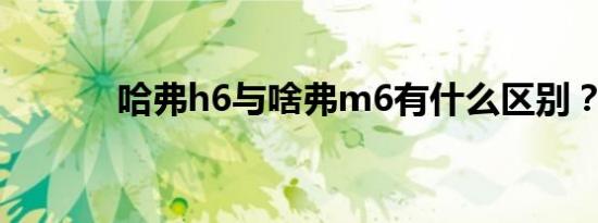 哈弗h6与啥弗m6有什么区别？