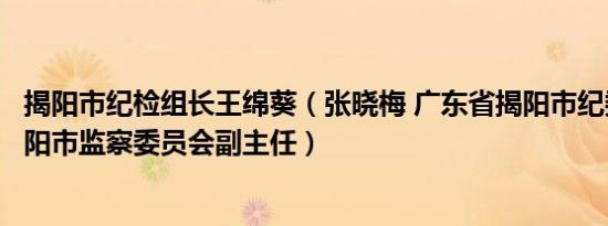 揭阳市纪检组长王绵葵（张晓梅 广东省揭阳市纪委常委、揭阳市监察委员会副主任）