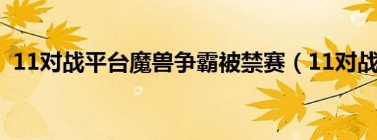 11对战平台魔兽争霸被禁赛（11对战平台）