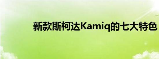 新款斯柯达Kamiq的七大特色