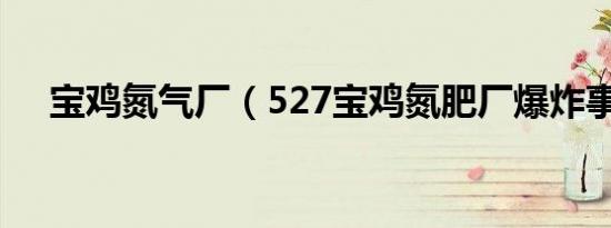 宝鸡氮气厂（527宝鸡氮肥厂爆炸事故）