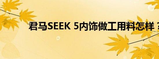 君马SEEK 5内饰做工用料怎样？