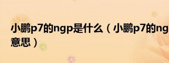 小鹏p7的ngp是什么（小鹏p7的ngp是什么意思）