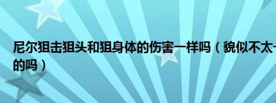 尼尔狙击狙头和狙身体的伤害一样吗（貌似不太一样有明白的吗）