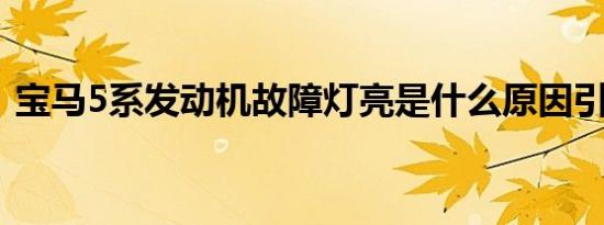 宝马5系发动机故障灯亮是什么原因引起的？