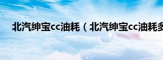 北汽绅宝cc油耗（北汽绅宝cc油耗多少）