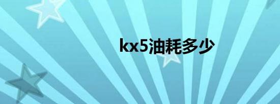 kx5油耗多少