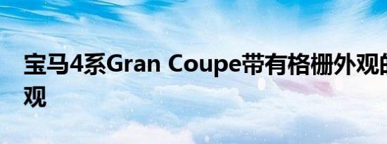 宝马4系Gran Coupe带有格栅外观的险恶外观