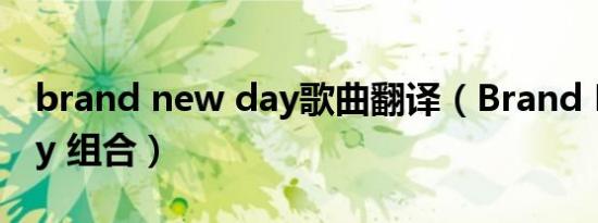 brand new day歌曲翻译（Brand New Day 组合）