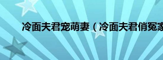 冷面夫君宠萌妻（冷面夫君俏冤家）