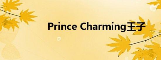 Prince Charming王子