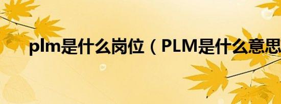 plm是什么岗位（PLM是什么意思啊）