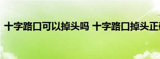 十字路口可以掉头吗 十字路口掉头正确的图