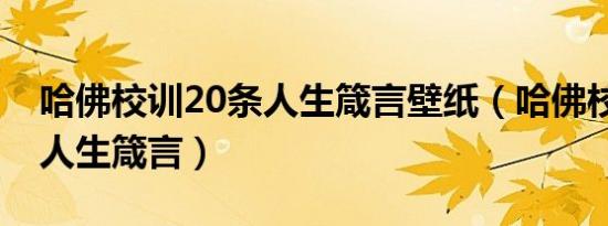 哈佛校训20条人生箴言壁纸（哈佛校训20条人生箴言）