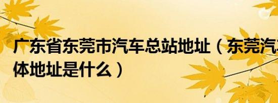 广东省东莞市汽车总站地址（东莞汽车总站具体地址是什么）