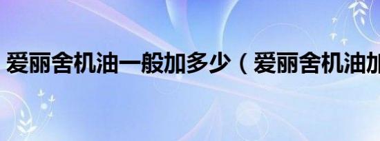 爱丽舍机油一般加多少（爱丽舍机油加多少）