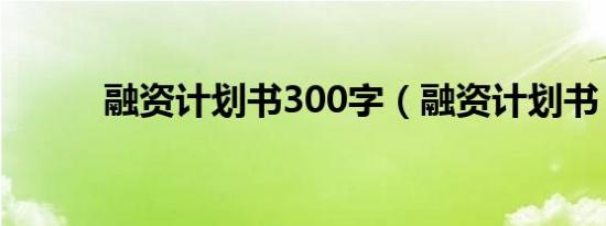 融资计划书300字（融资计划书）