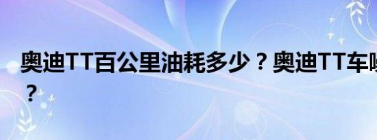 奥迪TT百公里油耗多少？奥迪TT车噪大不大？