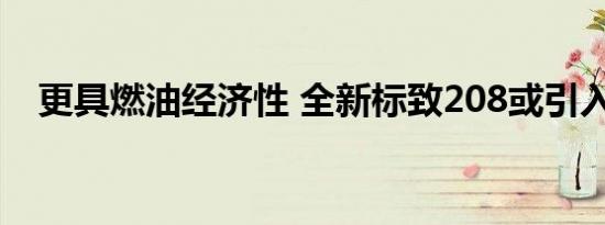 更具燃油经济性 全新标致208或引入国内