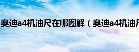 奥迪a4机油尺在哪图解（奥迪a4机油尺在哪）