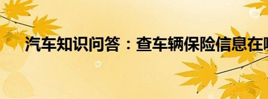 汽车知识问答：查车辆保险信息在哪查