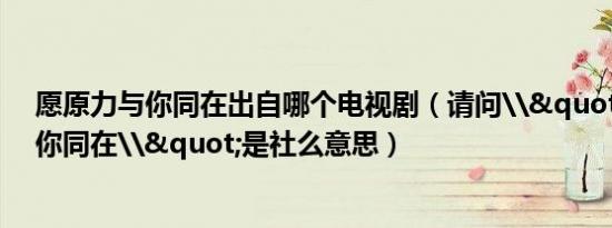 愿原力与你同在出自哪个电视剧（请问\"愿原力与你同在\"是社么意思）