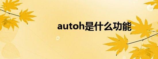 autoh是什么功能