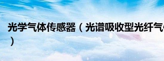 光学气体传感器（光谱吸收型光纤气体传感器）