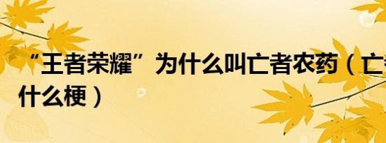 “王者荣耀”为什么叫亡者农药（亡者农药是什么梗）