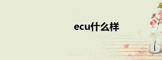 ecu什么样