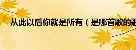 从此以后你就是所有（是哪首歌的歌词）