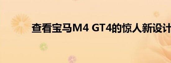 查看宝马M4 GT4的惊人新设计