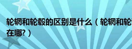 轮辋和轮毂的区别是什么（轮辋和轮毂的区别在哪?）