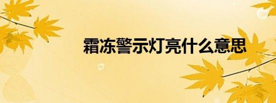 霜冻警示灯亮什么意思