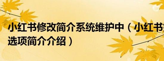 小红书修改简介系统维护中（小红书如何修改选项简介介绍）