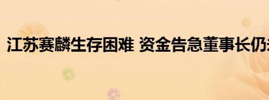 江苏赛麟生存困难 资金告急董事长仍未回国