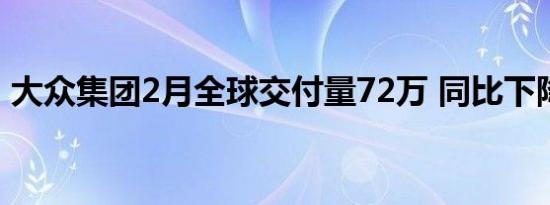 大众集团2月全球交付量72万 同比下降1.8%