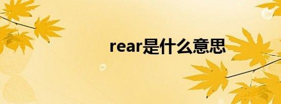 rear是什么意思