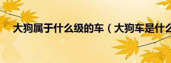 大狗属于什么级的车（大狗车是什么车）