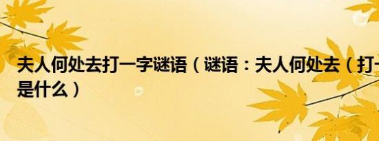 夫人何处去打一字谜语（谜语：夫人何处去（打一字）谜底是什么）