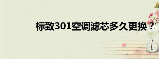 标致301空调滤芯多久更换？