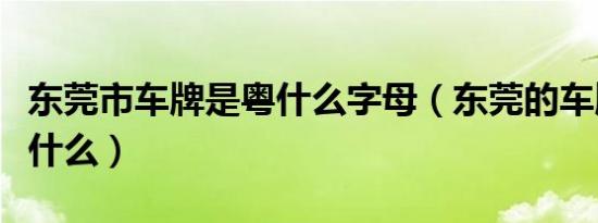 东莞市车牌是粤什么字母（东莞的车牌号是粤什么）