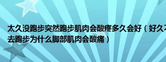 太久没跑步突然跑步肌肉会酸疼多久会好（好久不跑步突然去跑步为什么脚部肌肉会酸痛）