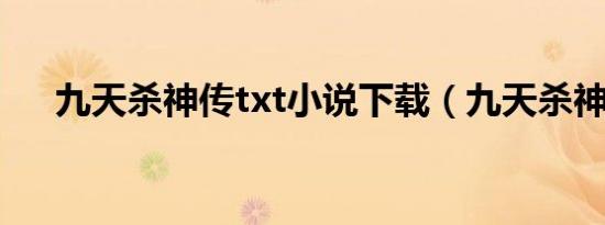 九天杀神传txt小说下载（九天杀神传）