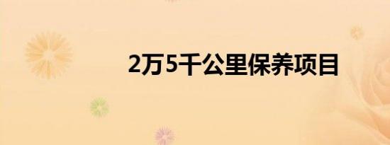 2万5千公里保养项目