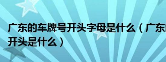 广东的车牌号开头字母是什么（广东的车牌号开头是什么）